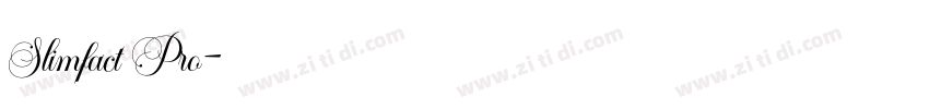 Slimfact Pro字体转换